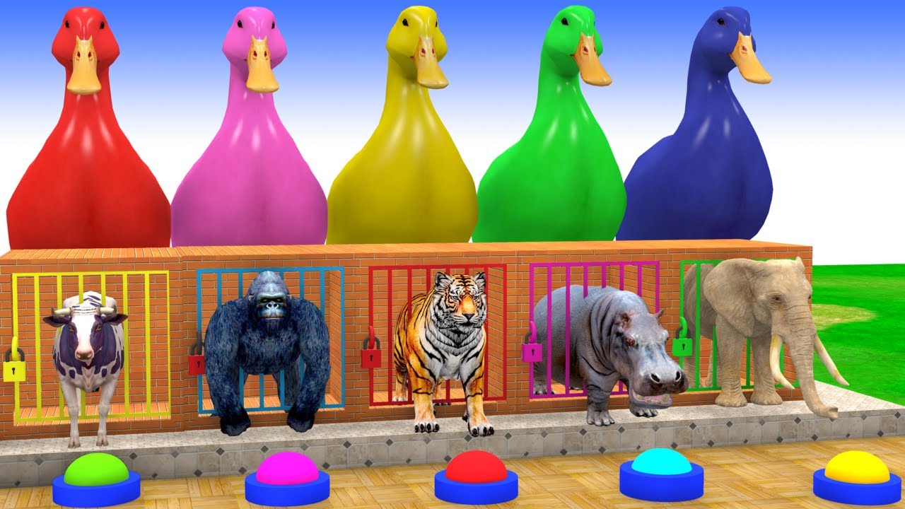 Long Slide Game with Cow Elephant Gorilla Hippopotamus Tiger 3d Animal Game Funny 3d Animals