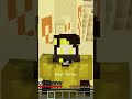 MINECRAFT MA...