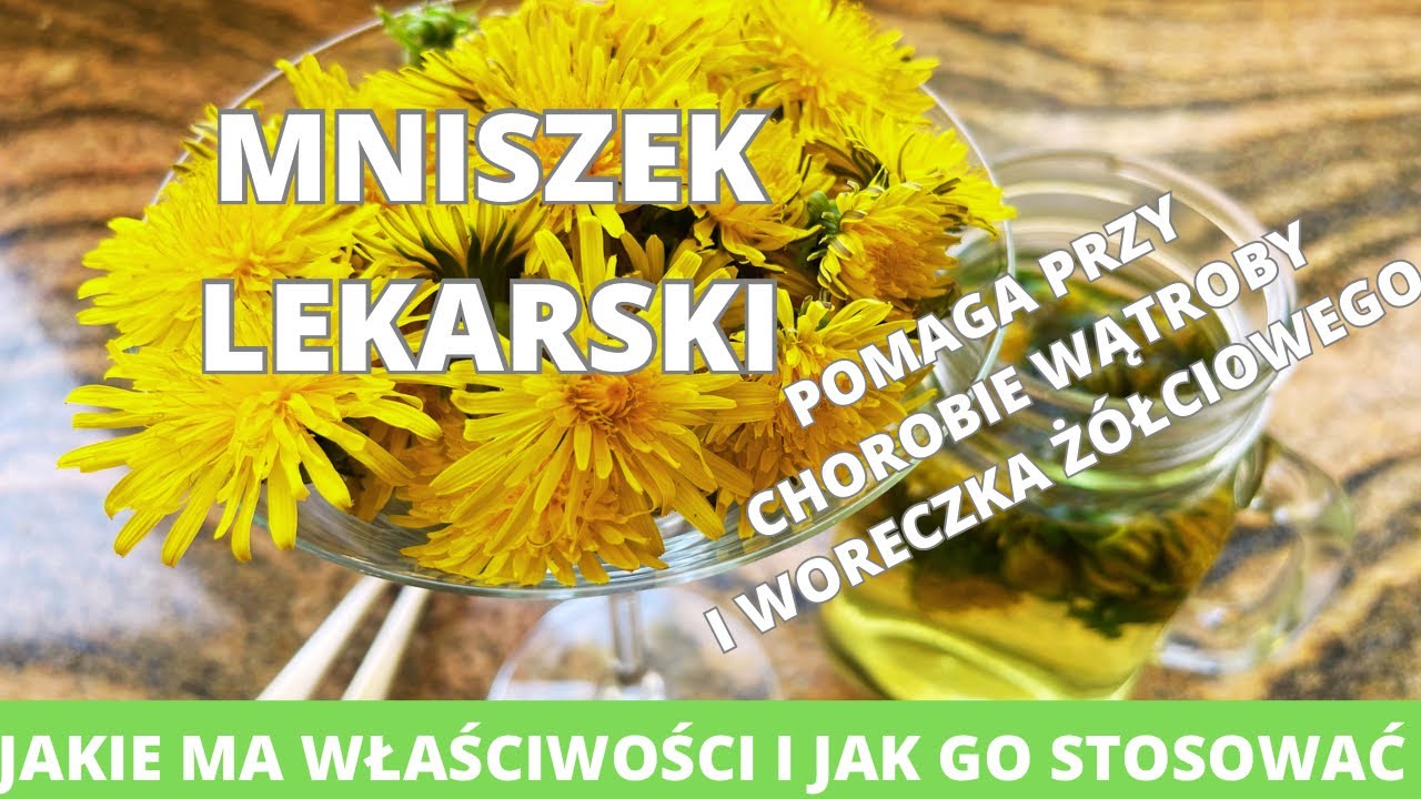 Mniszek lekarski. Niezawodna pomoc przy chorobach wątroby i woreczka żółciowego wzmacnia testosteron