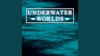 In the Undercurrent