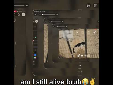 am I still alive bruh