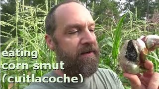 I DARE YOU to eat corn smut cuitlacoche