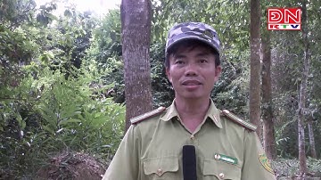 Vườn Quốc gia Cát Tiên chủ động phòng cháy chữa cháy rừng mùa khô năm 2019