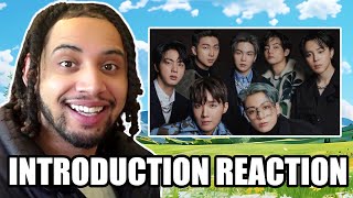 NON K-POP FAN REACTS TO BTS For The FIRST TIME! | A Guide to BTS Members: The Bangtan 7 Reaction