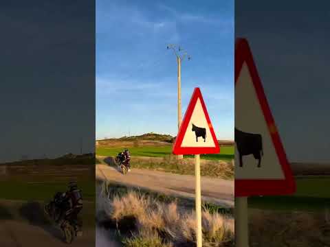 Joan Pedrero x Pan America | Harley-Davidson​ #Shorts​