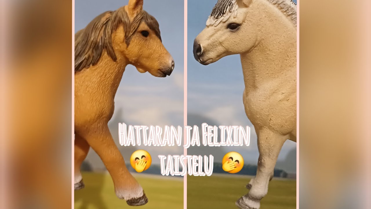 Hattaran ja Felixin taistelu 🤭