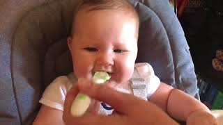 Hailey's First Meal