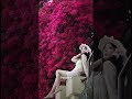 评论区摄影大赛#摄影 #拍照