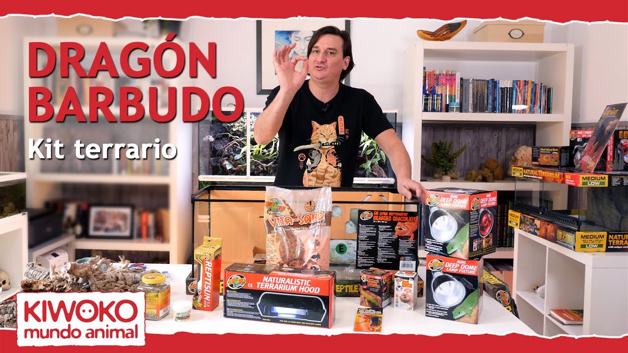 ¡SUPER KIT PARA TU DRAGÓN BARBUDO! 🐉  【¡Todo lo que necesitas! ✅】