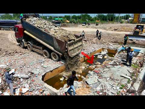 OMG Starting Land Filling Up Old Swimming Pool Using Heavy Team Dump Trucks 25.5Ton With Bulldozer