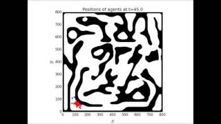 Tumor Invasion Optimization by Mesenchymal-Amoeboid Heterogeneity