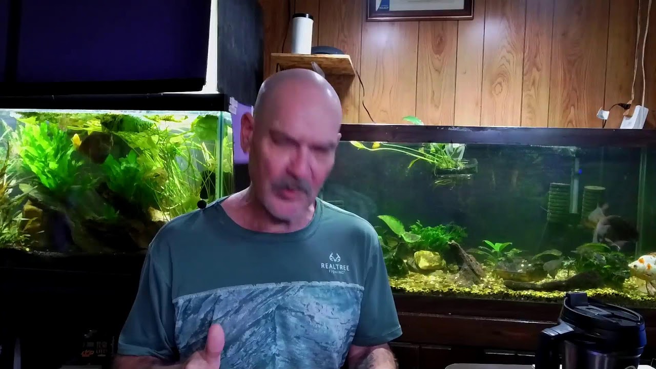 Wednesday Members Stream
