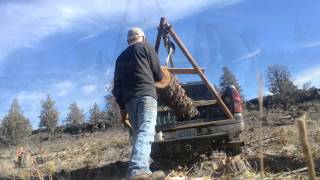 DIY Log Loader