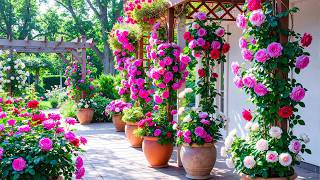 Luxury flower garden tour in 2026 🌺 The most beautiful flower garden you've ever seen 🏡