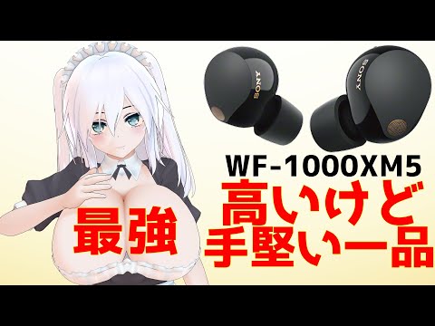 【SONY】WF-1000XM5レビュー！高いけど最強で手堅い一品