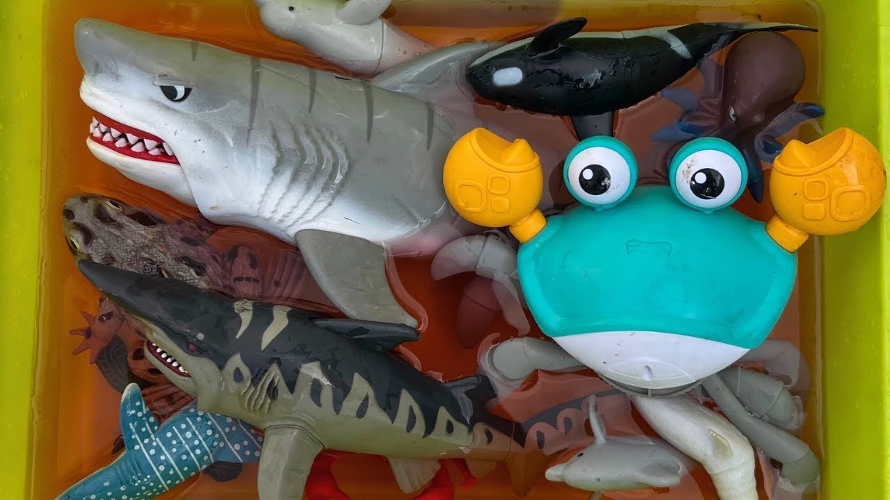 Amazing Sea Animals 🐋🦈 | Ocean Animals Learning for Kids with fun Facts ...