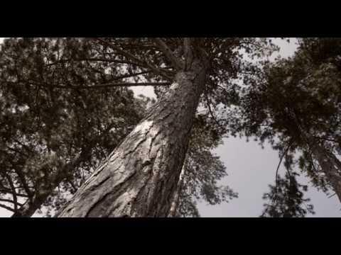 Codename Rendlesham teaser - YouTube