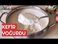 PROBİYOTİK DEPOSU KEFİR YOĞURDU🌺KEFİRDEN, YOĞURDA DÖNÜŞÜM VİDEOMDA