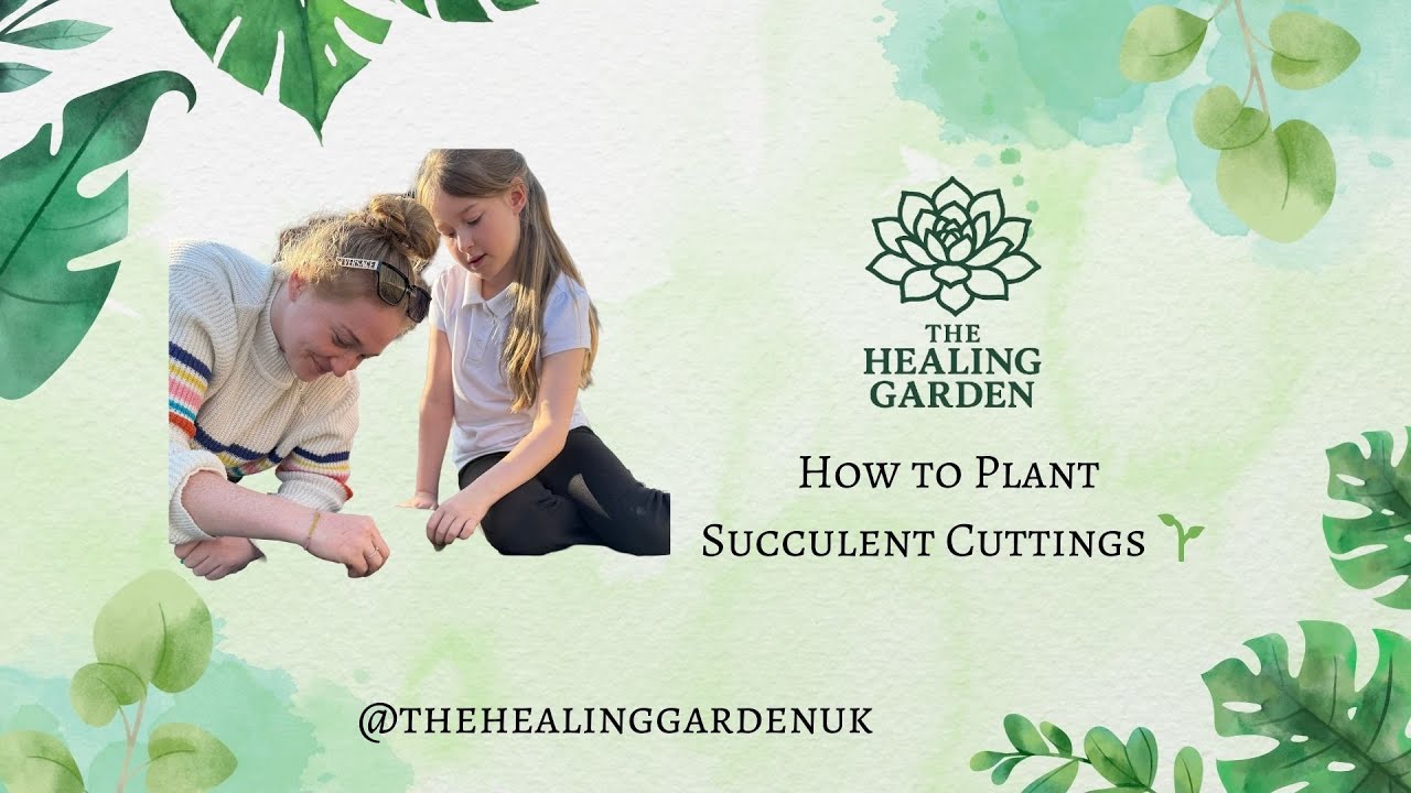 How to Plant Succulent Cuttings 🌱 | The Healing Garden UK Tutorial ...