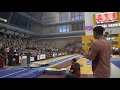 Minnesota Men's Gymnastics 01-27-2018 Vault