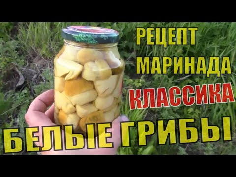 Классический рецепт маринования белых грибов Пошаговая инструкция приготовления маринада с гвоздикой