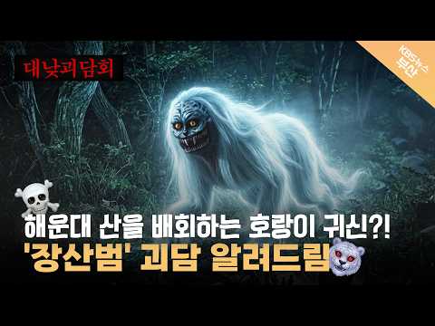 <strong>해운대</strong> 산에 호랑이를 닮은 귀신이 있다? 오싹하고 흥미로운 <strong>부산</strong> '장산범' 이야기! |  대낮괴담회 : <strong>부산</strong> 장산편