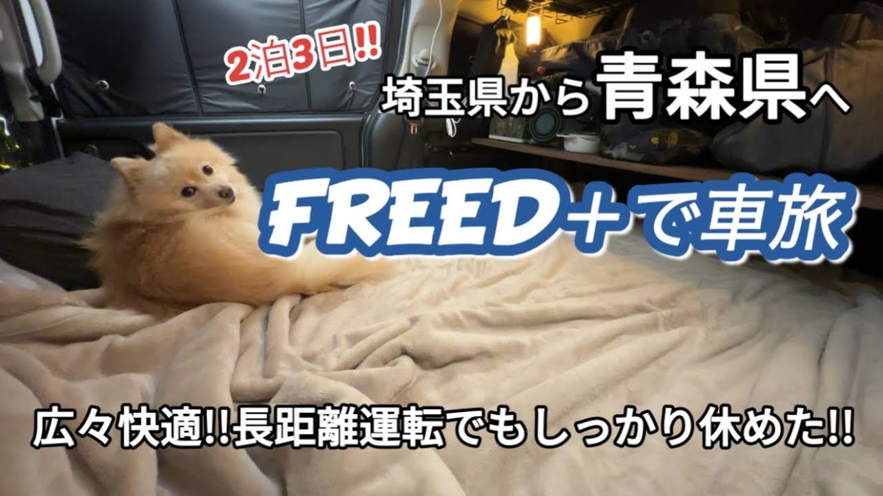 【FREED＋】【青森県】【車中泊】快適仕様になったので青森まで行ってきた！！