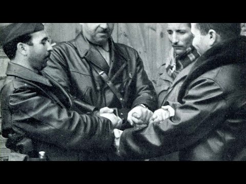 عملية العصفور الازرق عملية استخباراتية فرنسية تثبت قوة الثورة