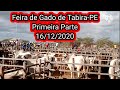 Feira do Gado de Tabira-PE dia  16/12