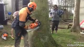 Amazing Fastest Skill Cutting Big Tree