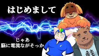 VS 【電気気功】　※この配信はコラボ雑談です