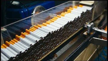 🚬🏭 How Cigarettes Are Made | Inside the Cigarette Manufacturing Process 🔍🧪