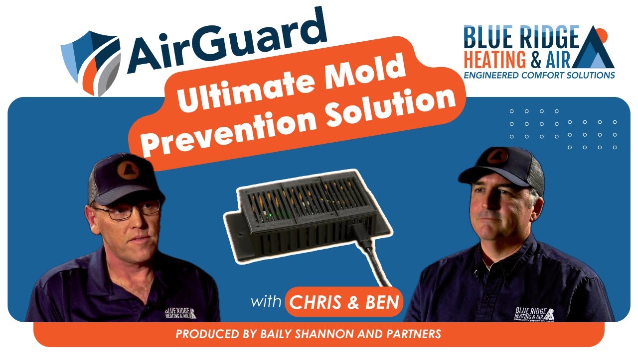 Is Mold Hiding in Your Home? | AirGuard by Blue Ridge Heating & Air