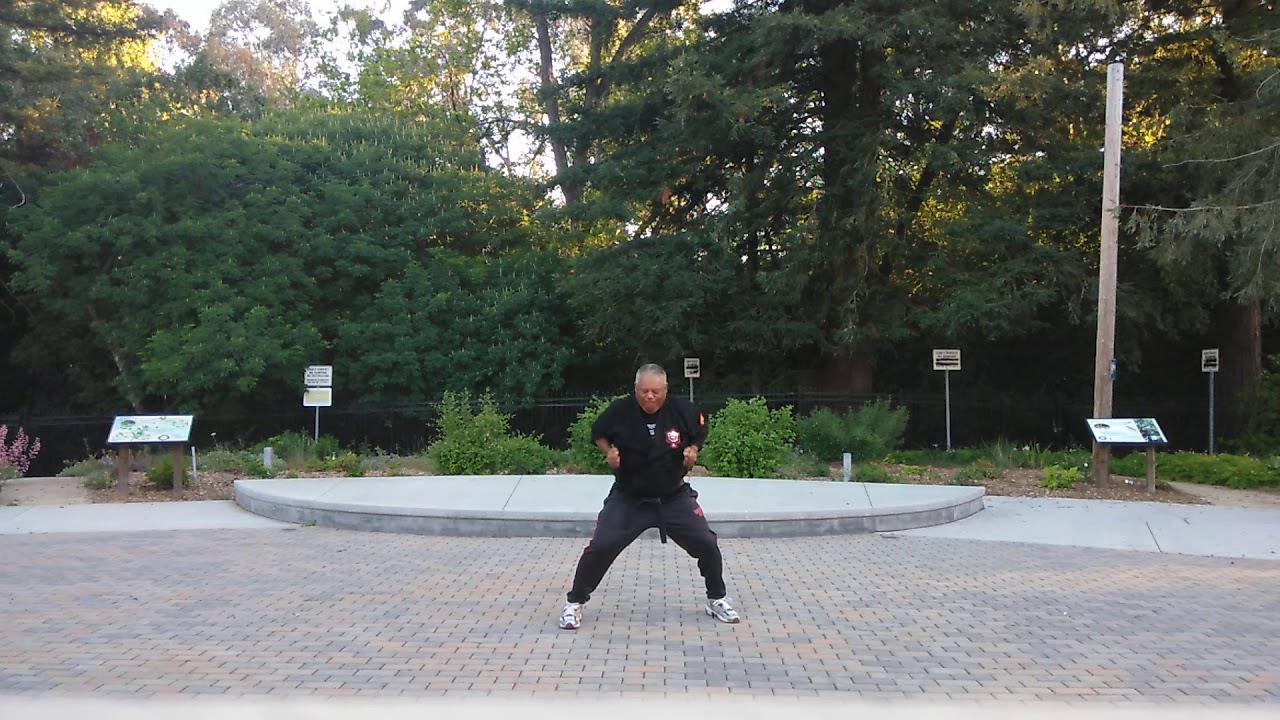 4 Elements Martial Arts Kajukenbo Form 1 (Emperado Method) YouTube