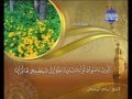 002 سورة البقرة الشيخ القاريء ماهر المعيقلي