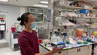 Lab Tour - Hendricks Lab (Dynamics of Motor Proteins and the Cytoskeleton)
