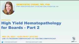 #PATHBOARDS High Yield Hematopathology for Boards - Part 2 screenshot 5