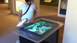 Multitouch @ the harvard museum of natural history