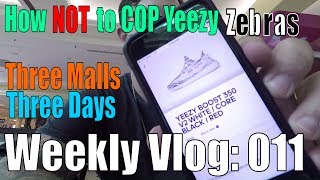 How NOT to Cop the Yeezy Zebras!!! | Weekly Vlog | Episode 011