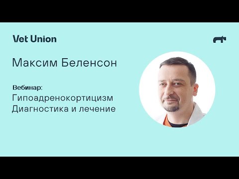 Видео: У моей собаки гипоадренокортицизм: что мне теперь делать?