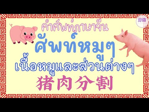 วีดีโอ: บุคลิกของหมูจีนคืออะไร?