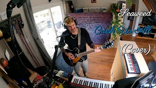 Seaweed - Crush Us All (Cover Song) #coversong #seaweedband #gretschguitars