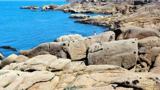 l'Île Renote, 22730 Trégastel, Côtes d'Armor, Brittany, France  1st June 2014