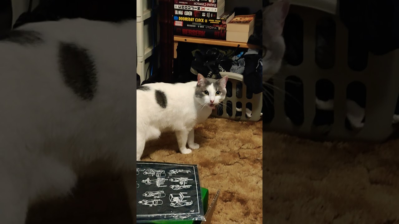 Япония готова