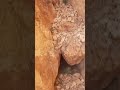 اشارة وجه صارخ يحرص مدفن مهم جدا
