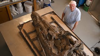 World's First 3D Scan of a Pliosaur | Attenborough and the Giant Sea Monster | BBC Earth Science