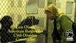 Coryell County Rescue | Houston SPCA
