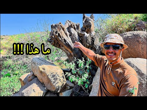 طلعت الجبل قبل الشروق وجربت حاجة جديدة تحميك وتأويك