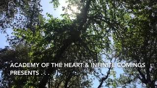 Applegate River Flow Fam Jam Festival promo video - music, Leaving Earth by Seven Lions
