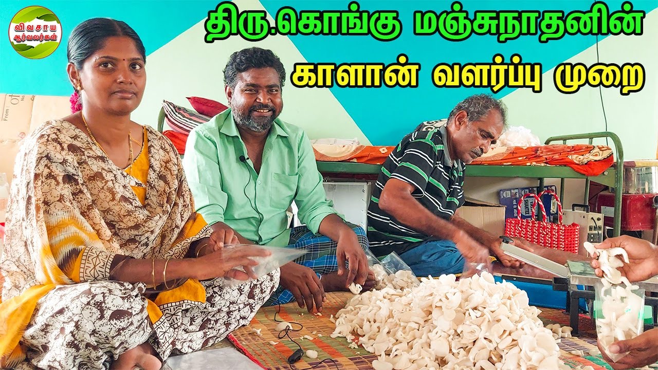காளான் வளர்ப்பில் கொங்கு மஞ்சுநாதனின் வருமானம்|காளான் வளர்ப்பு முறை #vivasayaarvalargal #kalan